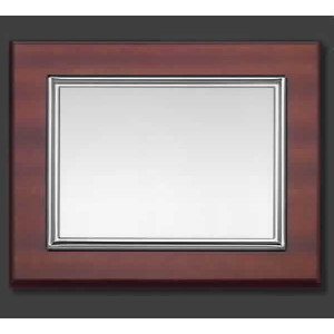 PLACA ALPACA RECTILINEA (15X20 CM)