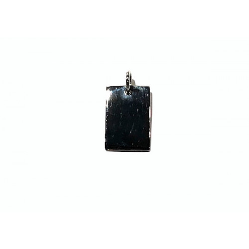 MEDALLA DE PLATA 13X20MM