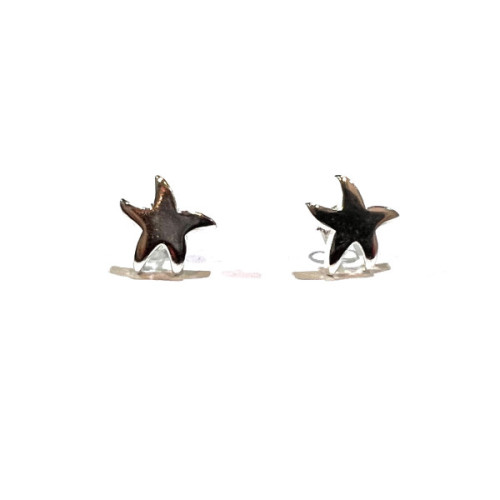PENDIENTES PLATA ESTRELLA DE MAR