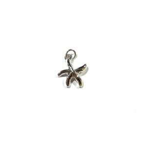 COLGANTE PLATA ESTRELLA MAR