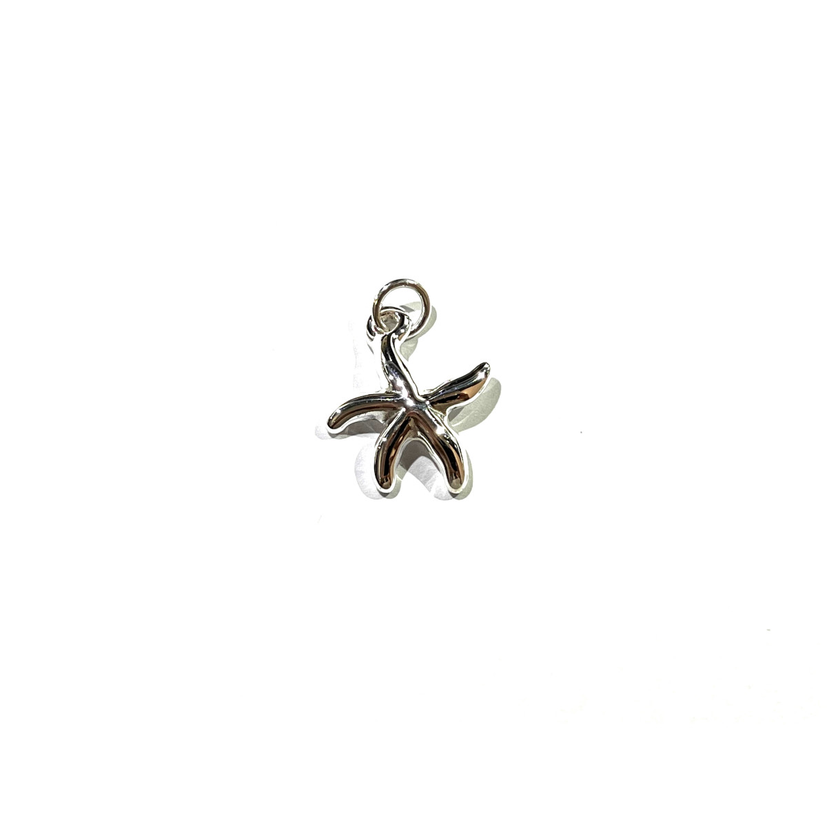 COLGANTE PLATA ESTRELLA MAR