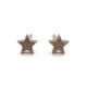 PENDIENTES ESTRELLAS PLATA Y CIRCONITAS
