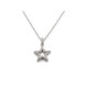 COLLAR PLATA ESTRELLA CIRCONITAS