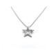 COLLAR ESTRELLA PLATA Y CIRCONITAS