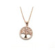 COLLAR ARBOL VIDA PLATA BAÑADA ORO ROSA